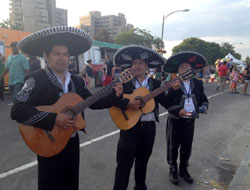 Mariachi Trio